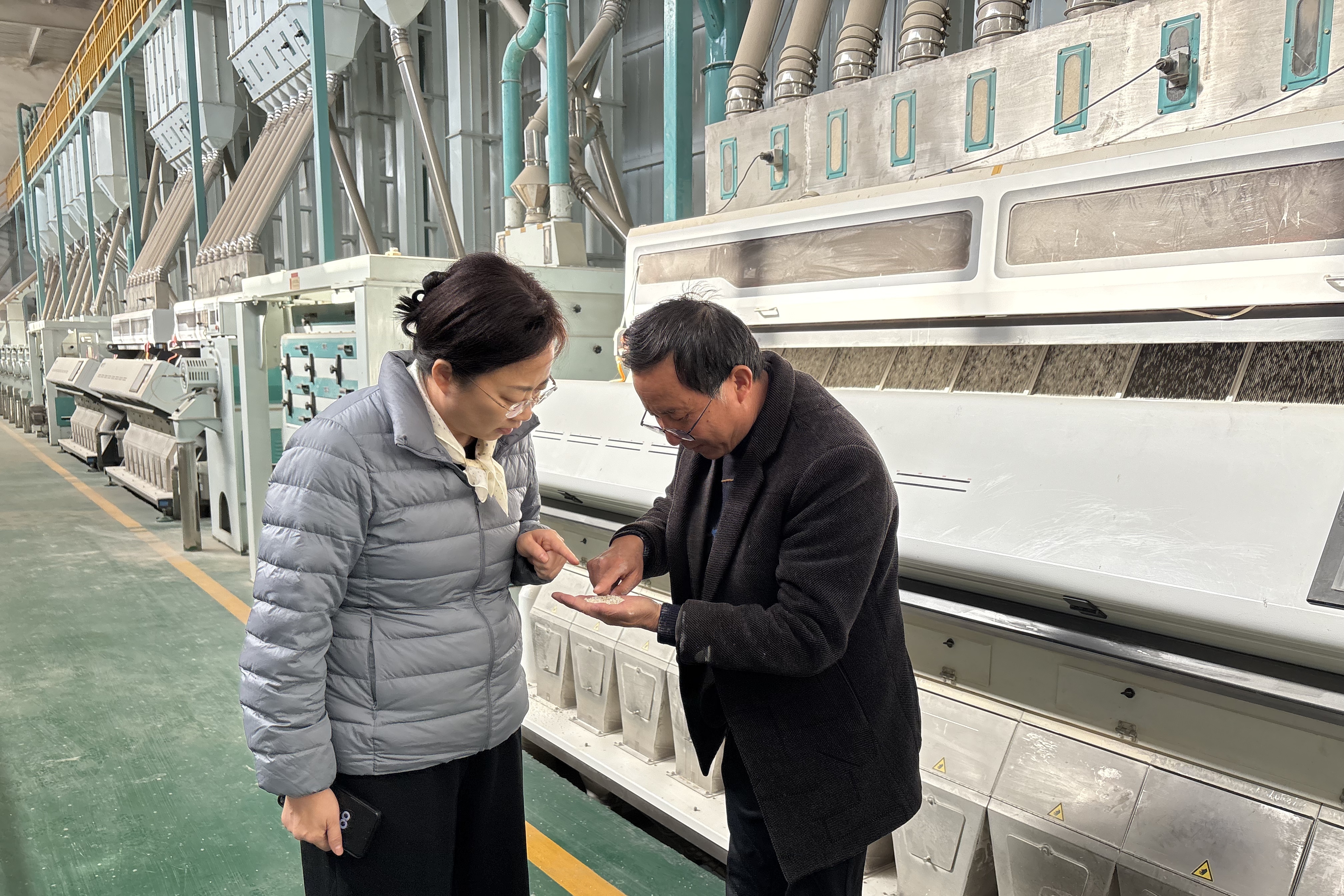 張瓊走訪聯系新型農業經營主體